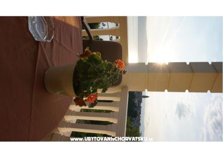Villa Mirela B&amp;B photo 4