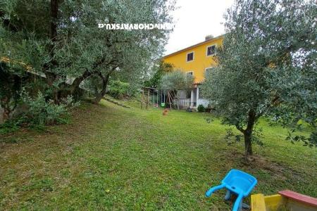 Apartments Fides photo 4