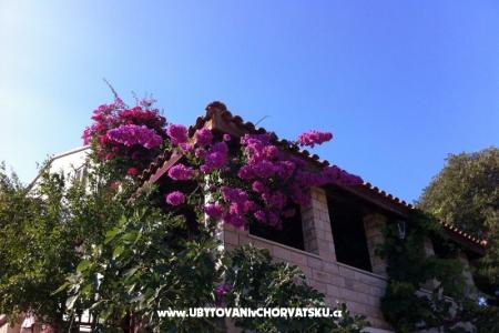 Villa Paradise photo 5