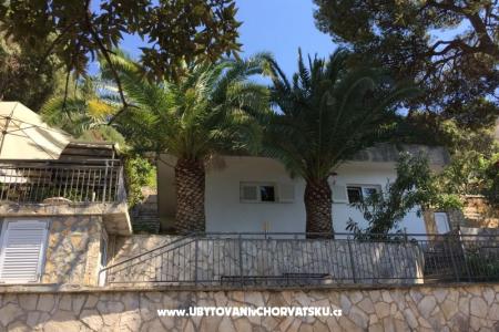 Villa Lastovo photo 4