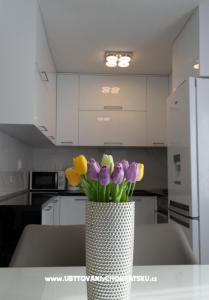 Apartment ARIA photo 3