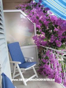 Apartment Bojana photo 2