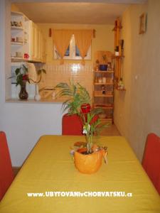Apartment Branka photo 3