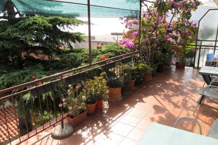 Apartment Dobrinić photo 3