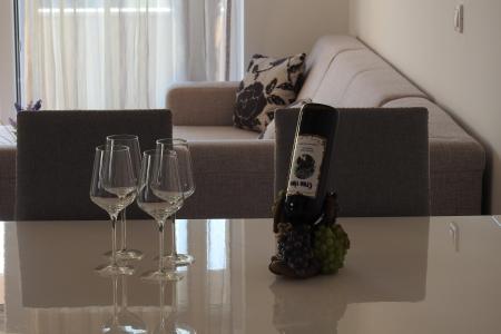 Apartment Igor photo 2
