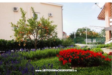 Apartments Vrpolje  photo 2