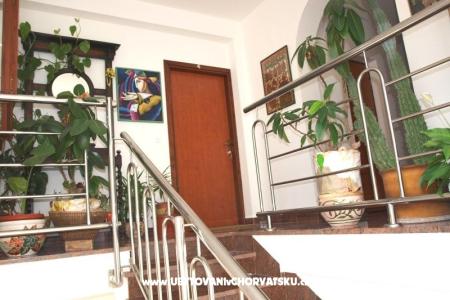 Apartments Mihić photo 5