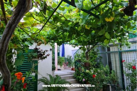Apartments Vinea photo 2