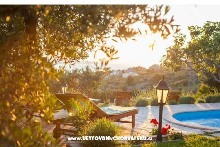 Rustic Oliveto photo 2