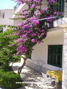 Apartments Villa Luce photo 2