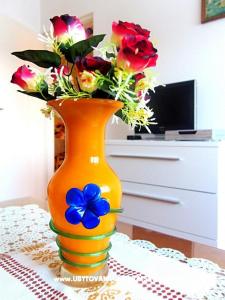 House Marija photo 5