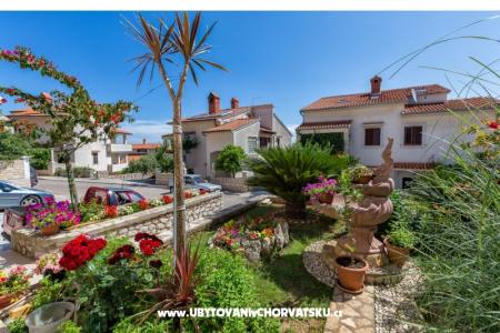 Apartments Ola photo 3