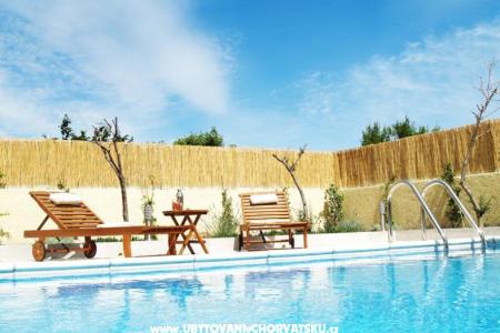 Villa Liljana photo 2