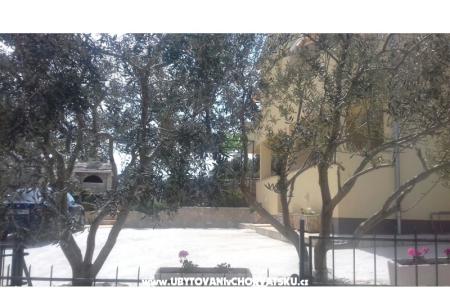 Apartments Ivana photo 4