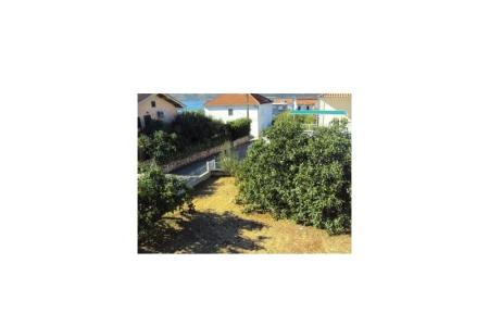 Apartments Vila  photo 3