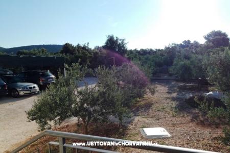 Apartments Liljana photo 5
