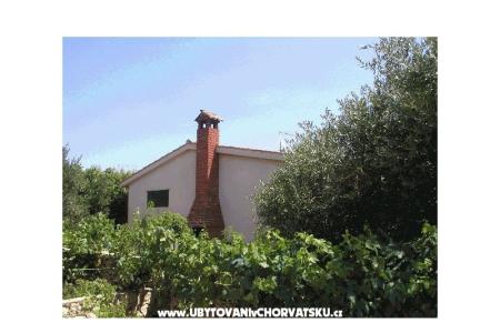 House Ticinovic  photo 2