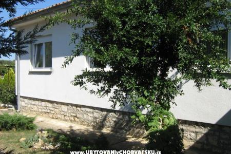 Apartments Croatia photo 3