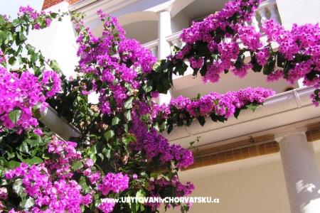 Apartments Paloma blanca - Oaza Reg photo 2