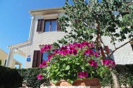 Apartments Regi photo 2