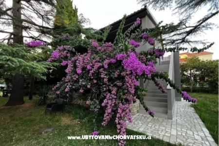 Flowers Apartment Medulin, Fucane 2 Medulin Croatia
