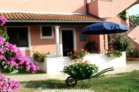 House Jolanda photo 3