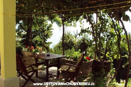 Apartment Barišić photo 5