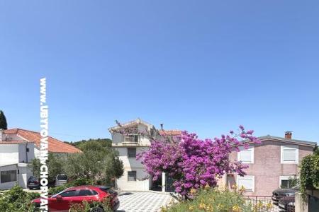 Apartments Kovačić Island of Murter Croatia