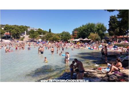 Miljenko photo 5