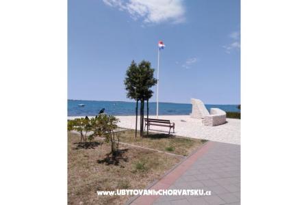 Apartments Jadranka Vrsi Mulo photo 2