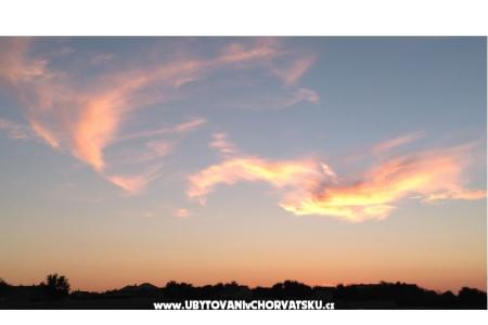 Apartments Rajlić photo 5