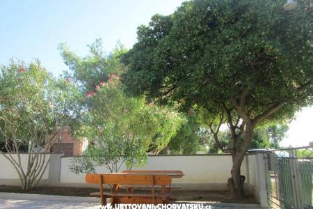 Apartments Roza photo 4