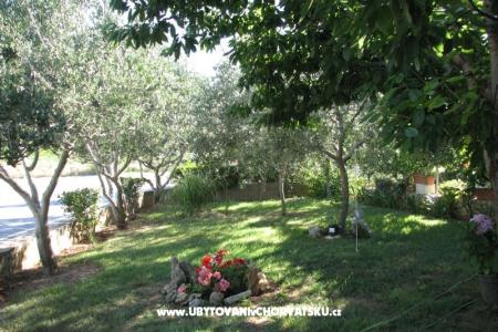 Apartments Baras photo 4