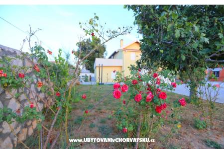 Apartment Novak Rudic photo 2