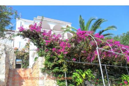 Apartment-hotel MacAdams photo 3