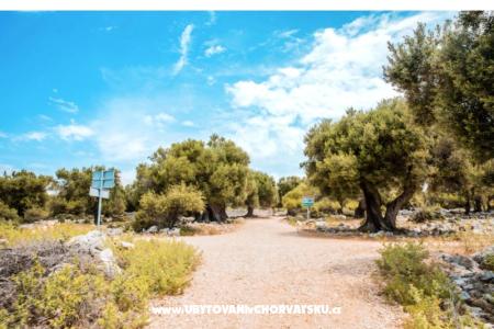 Apartments Šegota photo 2