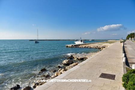 Apartments Slavica Novalja photo 2