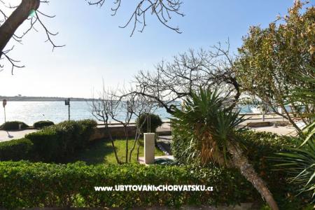 Apartments Slavica Novalja photo 3