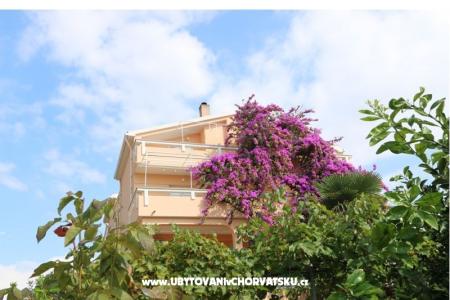 Apartments Iva photo 5