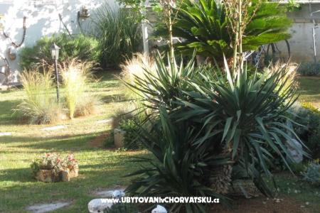 Villa Carrington photo 3