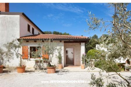 Antonia photo 2