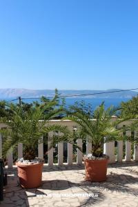 Apartments Pavica  photo 5