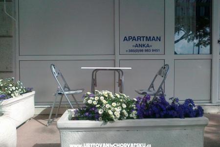Apartment ANKA S. photo 3