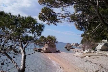 Apartment Danica photo 4