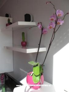 Apartment Ivančica photo 3