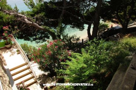 Apartments Darka on the beach photo 2