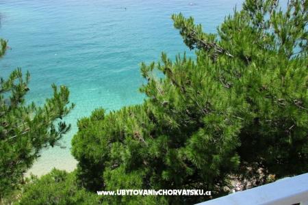 Apartments Darka on the beach photo 3