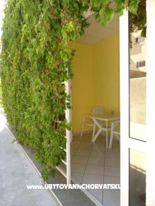 Apartments Dominik photo 3