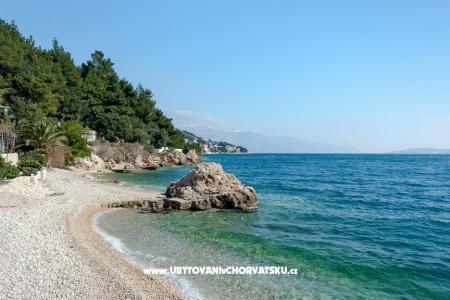APARTMANI JELENA photo 3