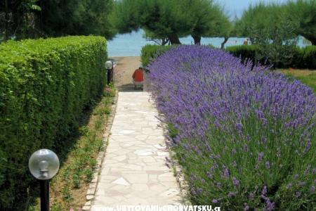 Apartments Lavanda photo 3